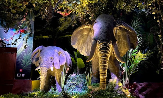 Rainforest Cafe Restaurant دبي