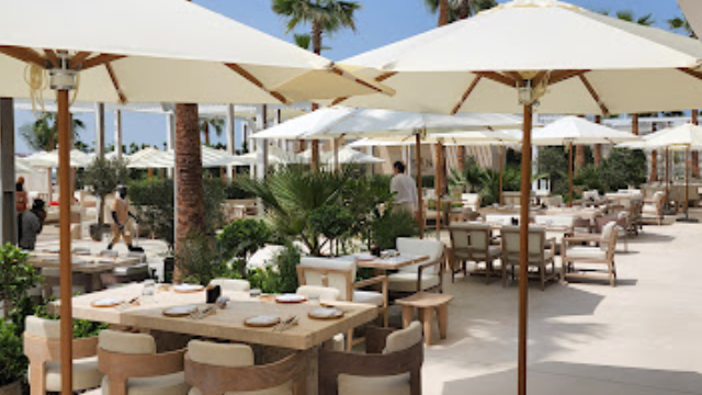 مطعم San Beach دبي  (الاسعار + المنيو + الموقع)